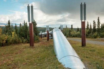 USA  Alaska  Dalton Highway pipeline in valley