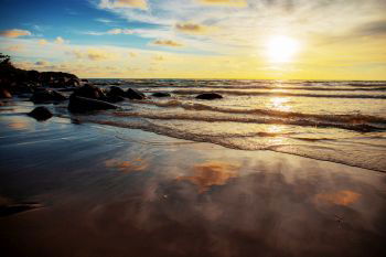 IST_15954_00871