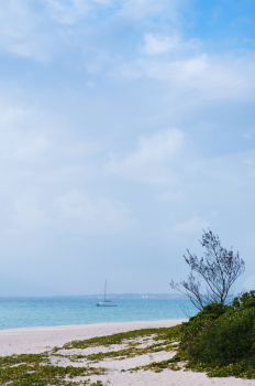 IST_17961_03744