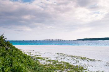 IST_17961_03804