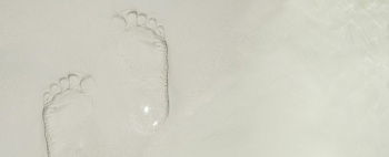IST_19163_00908