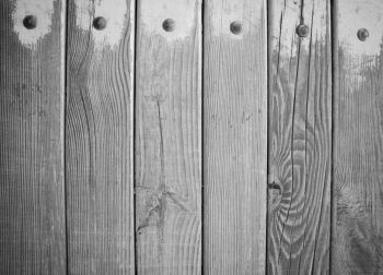 IST_19437_03100