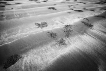 IST_28957_00925