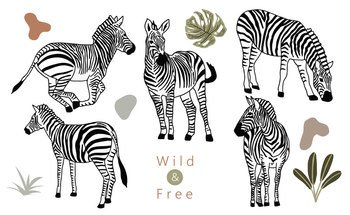 animal object collection with zebraVector illustration for icon sticker printable