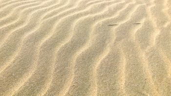 IST_3692_34282