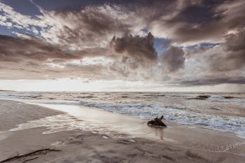 IST_9650_72127