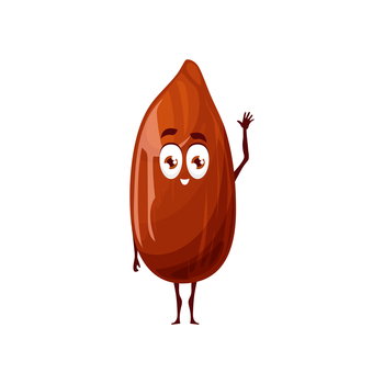 Nut Shell Animations Smiling Nutshell Cartoon