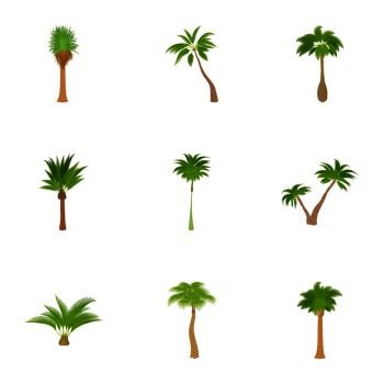 16 Palm Tree Types