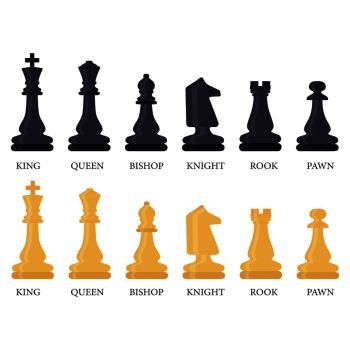 Chess pieces king queen bishop knight rook pawn Vector Image