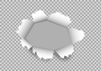 Hole torn in ripped paper on transparent Vector Image