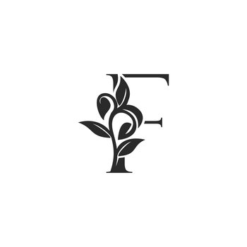 Nature Flower Initial Letter D Logo, Monogram Elegance Black And