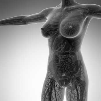 science anatomy of human body in x-ray with all organs