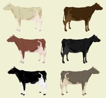 Cow3 Some cows on a farm of different colouring A vector illustration