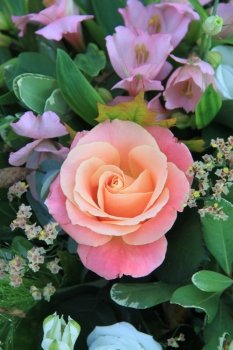 big rose in different shades of pink in a floral arrangement