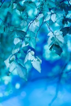 abstract background with blue leaves