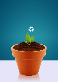 Small plant with recycle sign in garden pot  Ecological awareness concept