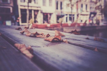 IST_24101_12250