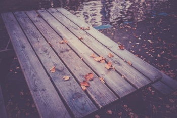 IST_24101_13542