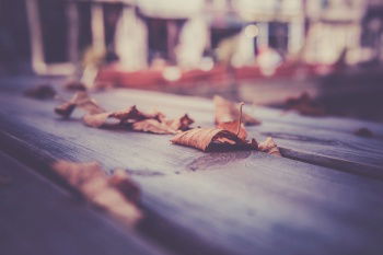 IST_24101_14309