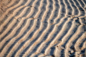 IST_24335_01127