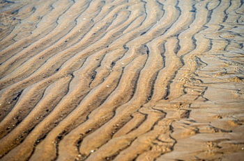 IST_24335_01130