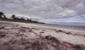 IST_33392_28813